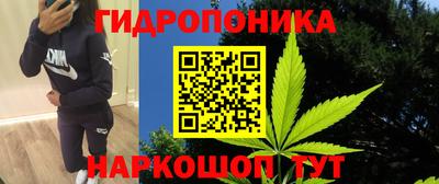 герыч Краснодар