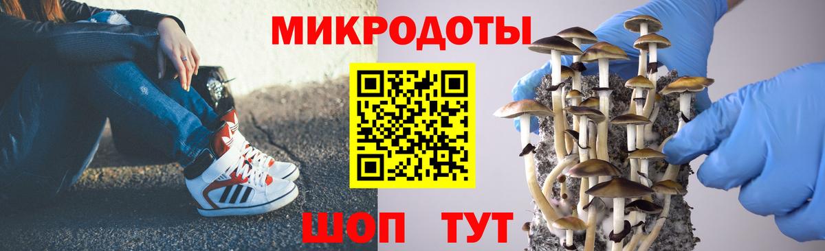 Зеленодольск  Псилоцибиновые грибы GOLDEN TEACHER  Вход с VPN 